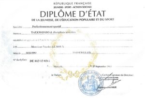 qui suis-je Le Roux Nicolas Diplôme d'Etat de la jeunesse, de l'éducation populaire et du sport