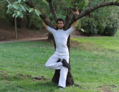 Le yoga bien être Le Roux Nicolas
