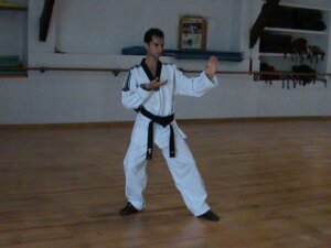 Qui suis-je Nicolas Leroux prof de taekwondo 4 -ème dan