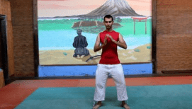 Taï chi coréen piwikong-et-tchangjileugi-poussée-de-main